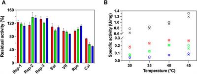 Effect of Graphite Oxide on the Catalytic Behavior of (S)-Selective Amine Transaminases